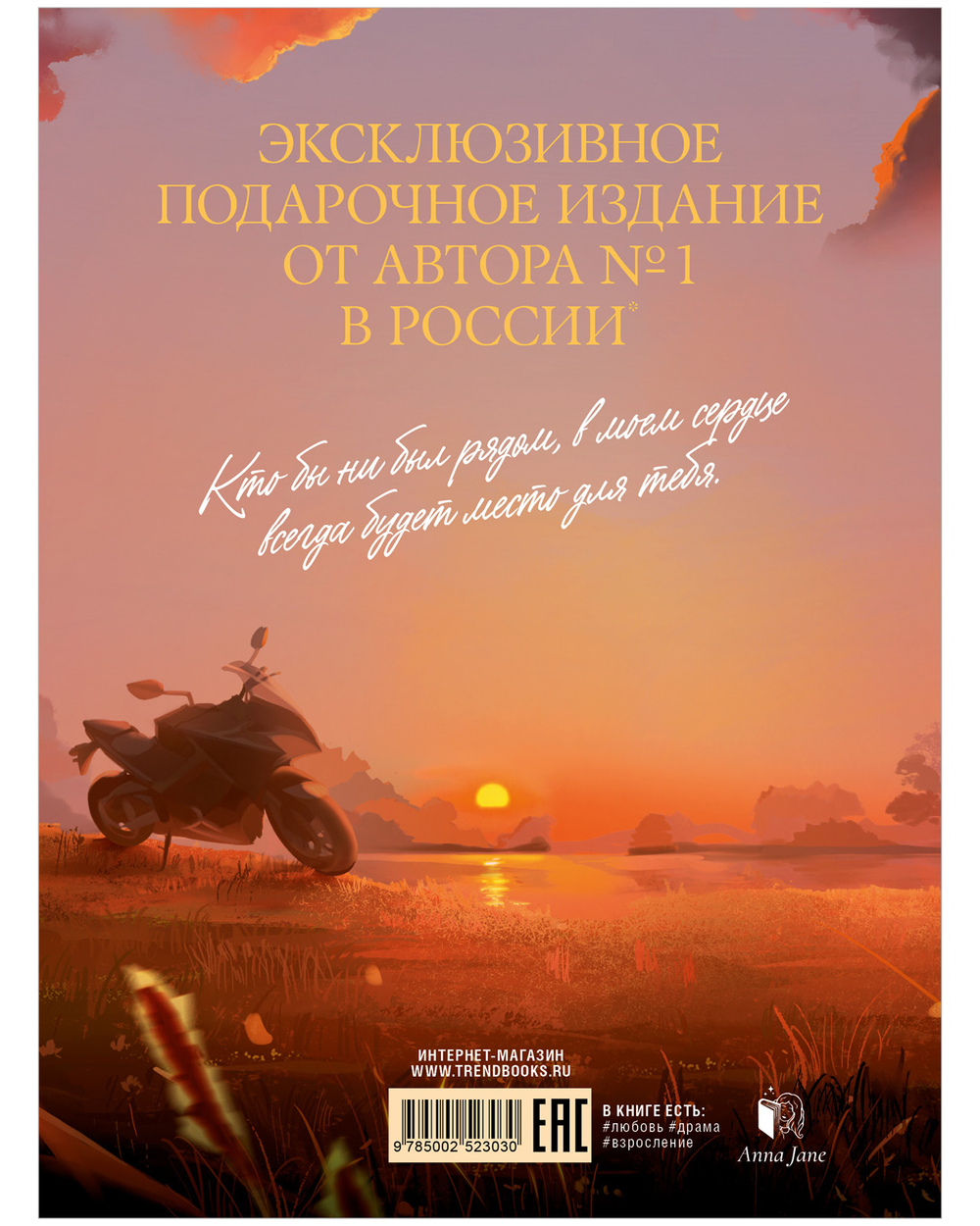 Хулиган и новенькая