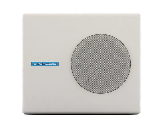 CVGAUDIO SUBone model A-6W пассивный сабвуфер