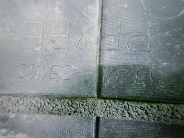 DSCN4953.JPG
