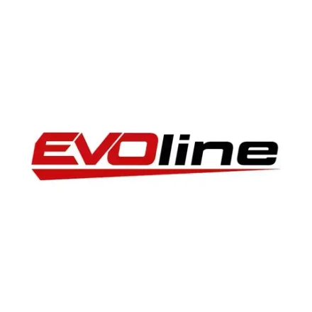 Двигатель бензиновый EVOline GB 1000 EFI