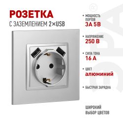 Розетка ЭРА Elegance 14-4109-03 2P+E 16A-250В штор. с 2xUSB 5В-3А алюминий | Эра Elegance