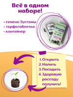 Семена Эустома высокорослая многолетняя Белая, Лизиантус комнатный + торфяные таблетки Jiffy в подарок, 5шт