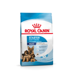 Royal Canin Maxi Starter Макси Стартер мазэ энд бэбидог Корм для щенков крупных пород до 2-х месяцев беременных и кормящих собак 4кг