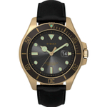 Мужские наручные часы Timex TW2V42200