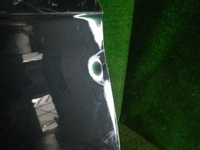 DSCN1250.jpg