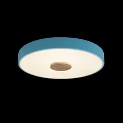 Потолочный светильник Axel 10003/24 Blue Loft It