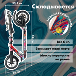 Самокат Urban Scooter Disc Paints Pro, (2024), с дисковым тормозом, складной, городской, двухколесный