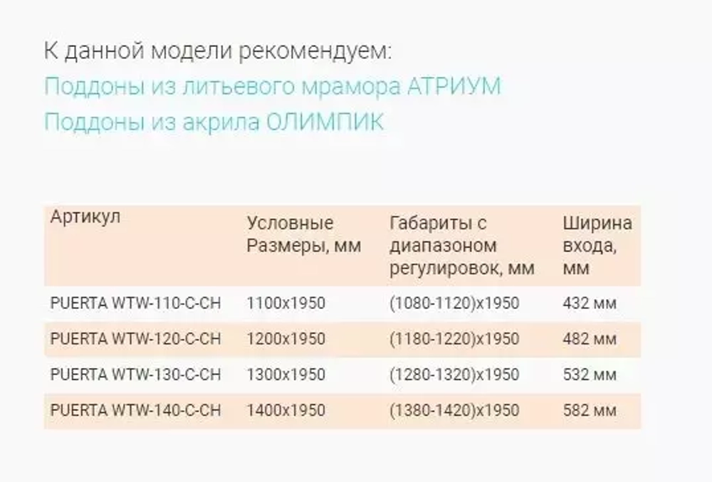 Душевая дверь в нишу Bas Puerta WTW 110*195 без поддона