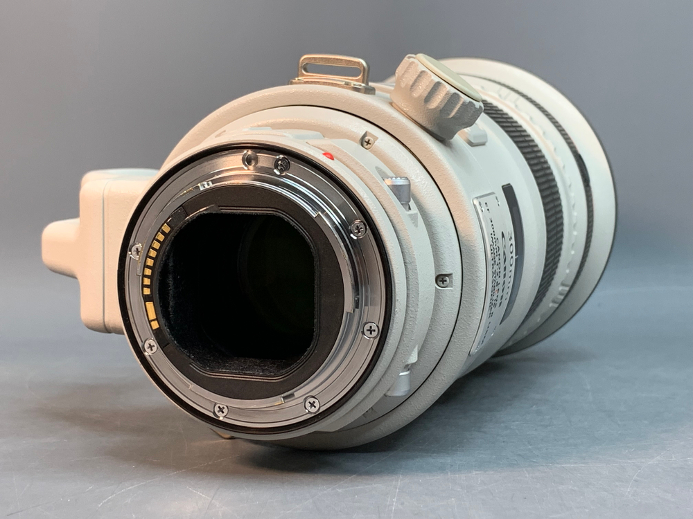 Canon EF 300mm f/2.8 L IS II USM (Идеальное состояние)