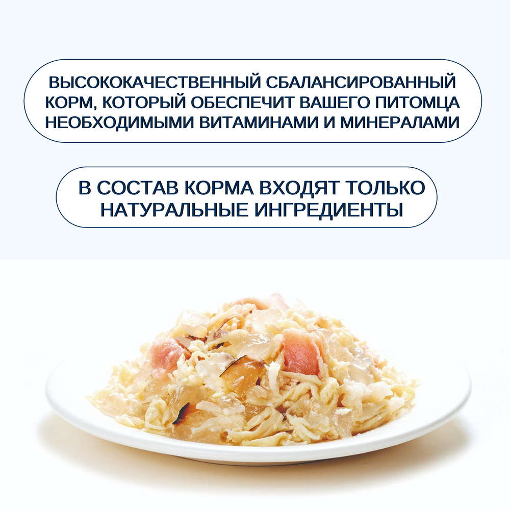 Wanpy Cat Консервы для кошек "Курица с лососем" 24 шт по 95 г