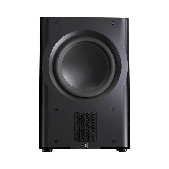 Perlisten Audio R212s Piano Black