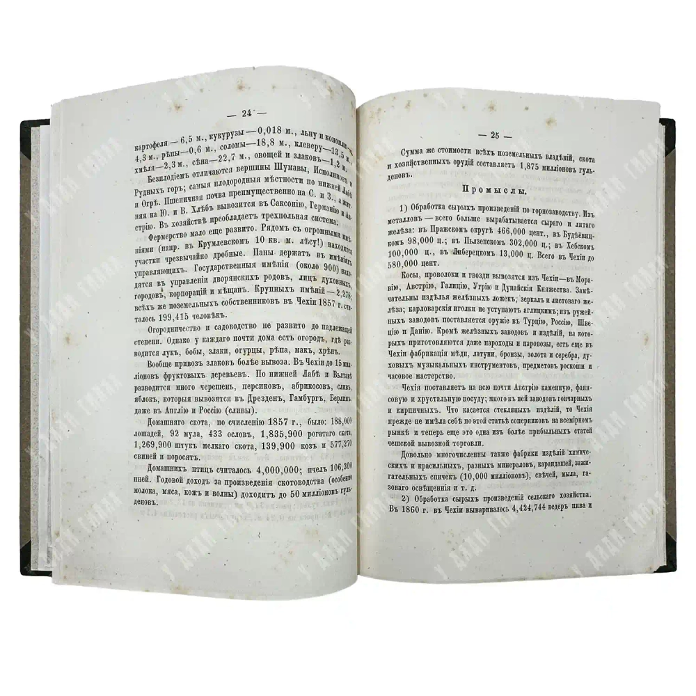 Будилович А. С., Наранович А. П. Чехия и Моравия. 1871
