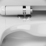 Унитаз-компакт FlashClean с сиденьем микролифт AM.PM Sense C748600SC