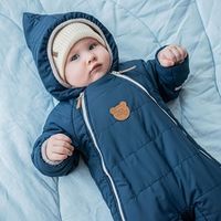 Комбинезон демисезонный стеганый "Чернослив" 0+