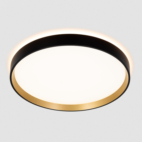 Потолочный светодиодный светильник Citilux Etalon CL750321R