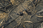 КОВРИК TALBERG FOLDING CAMO MAT M  СКЛАДНОЙ