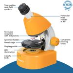 Микроскоп Levenhuk Discovery Micro с книгой, 77954