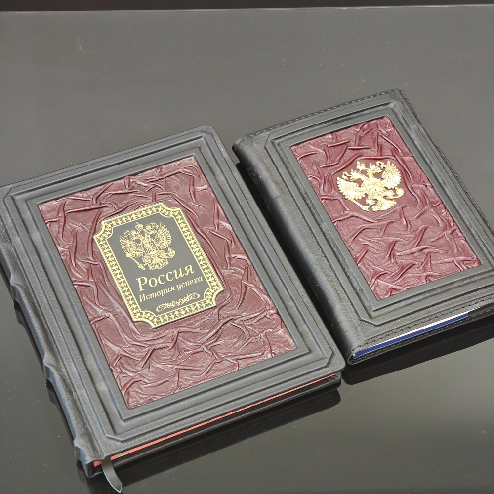 Набор из кожи в кейсе книга "Россия. История успеха" и ежедневник Герб России