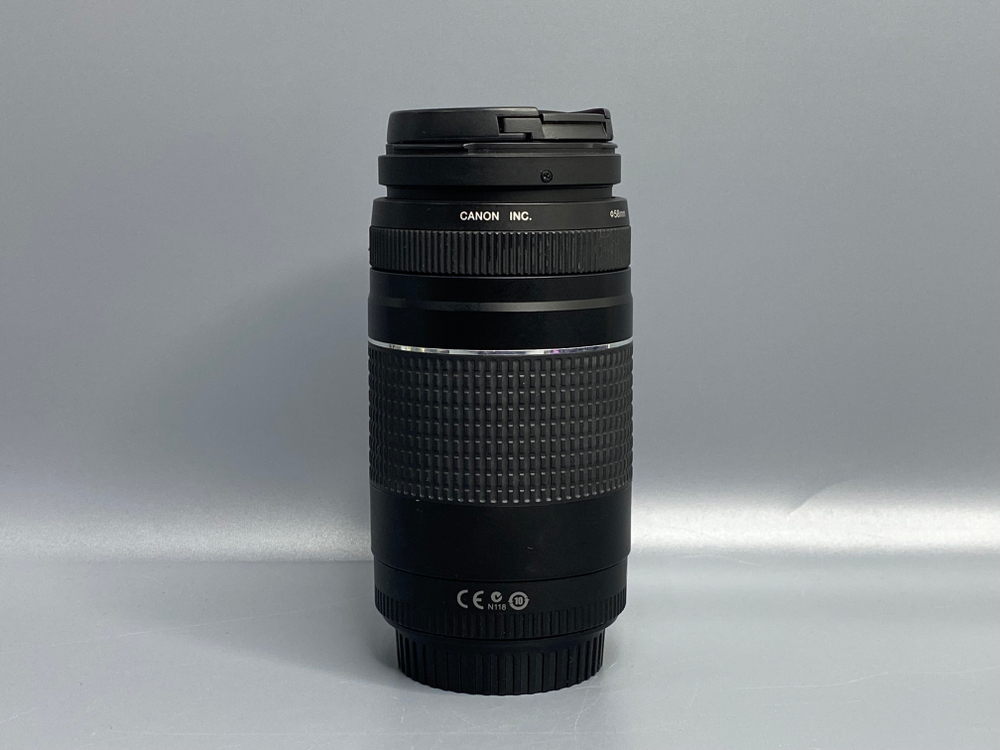 Canon EF 75-300mm f/4-5.6 III