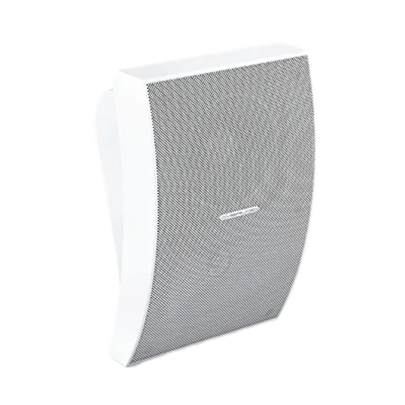 CVGAUDIO WPA10TW настенная акустическая система