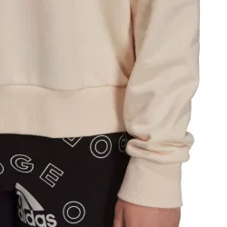 Толстовка женская ADIDAS W BLUV Q1 HD
