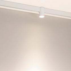 Светильник MAG-ORIENT-AXIO-R60-15W Day4000 (WH, 24 deg, 48V) (Arlight, IP20 Металл, 5 лет) 059255