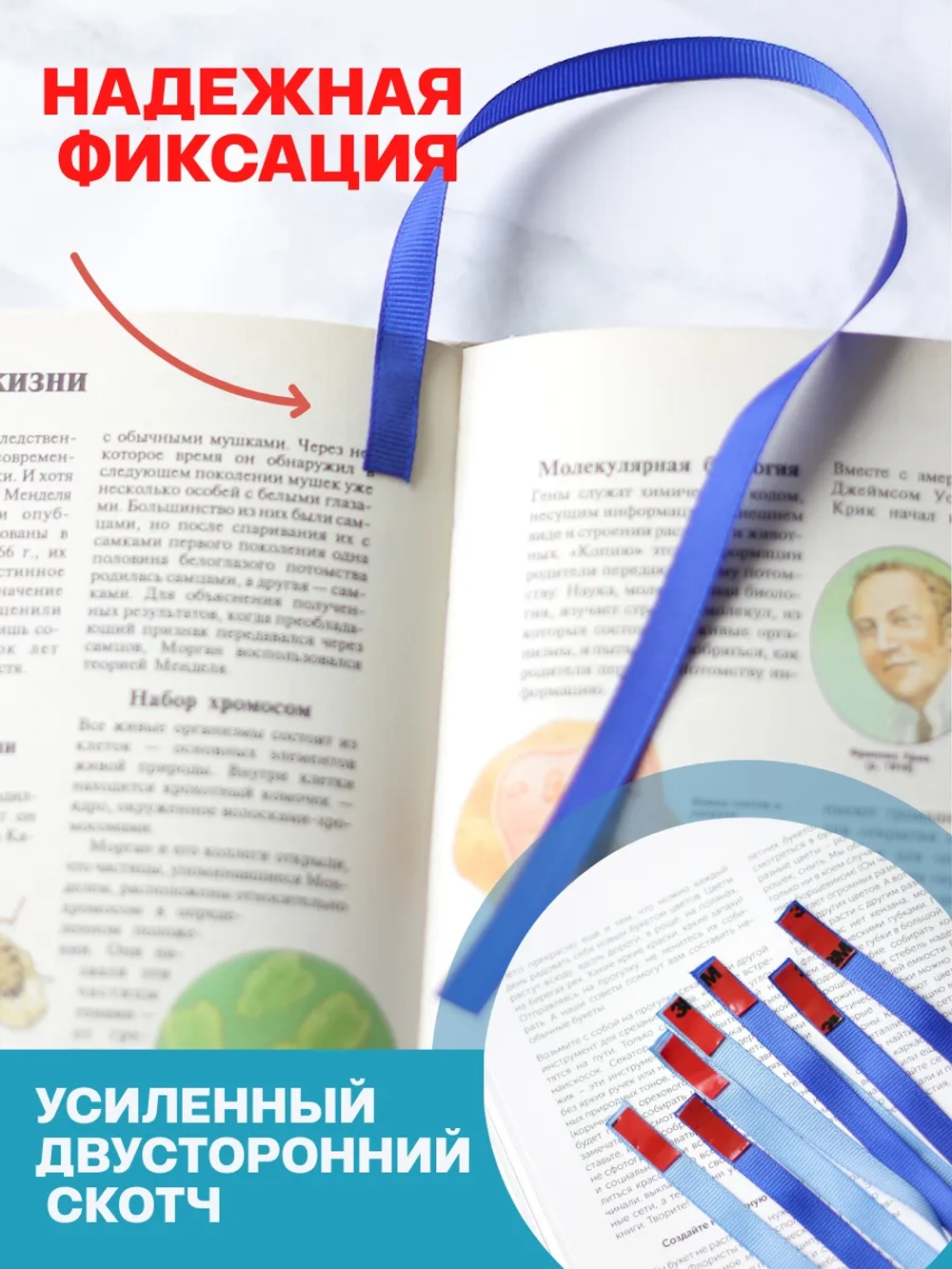 закладки