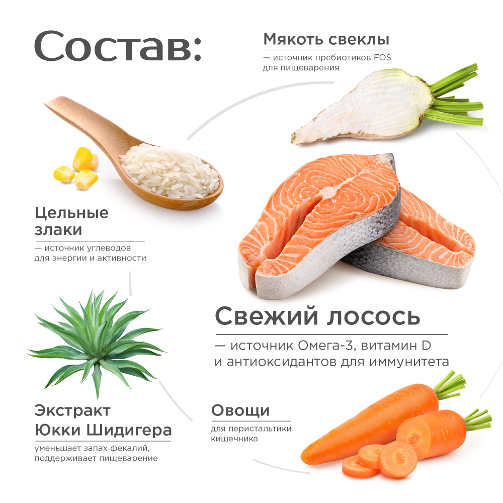 Корм сухой для взрослых собак средних пород, премиум полнорационный комплекс, низкий аппетит, с лососем, 12 кг, QUATTRO