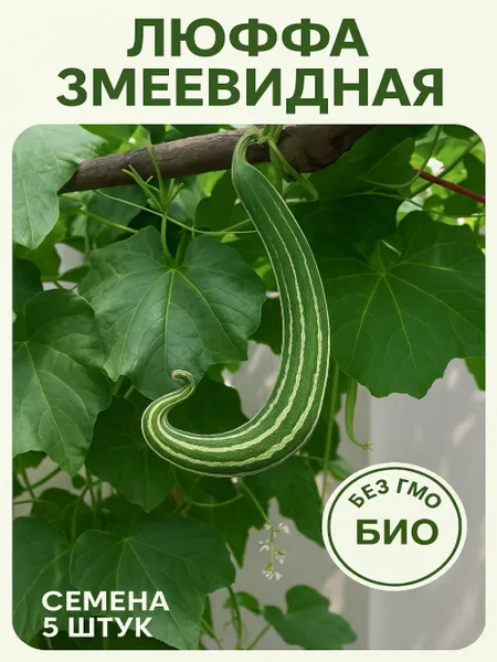 Люффа змеевидная семена 5 штук