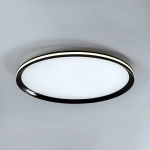 Потолочный cветильник LED4U L3020-500 BK