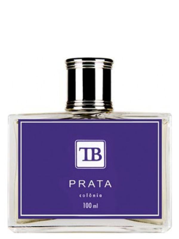 Tania Bulhoes Prata Contemporaneo