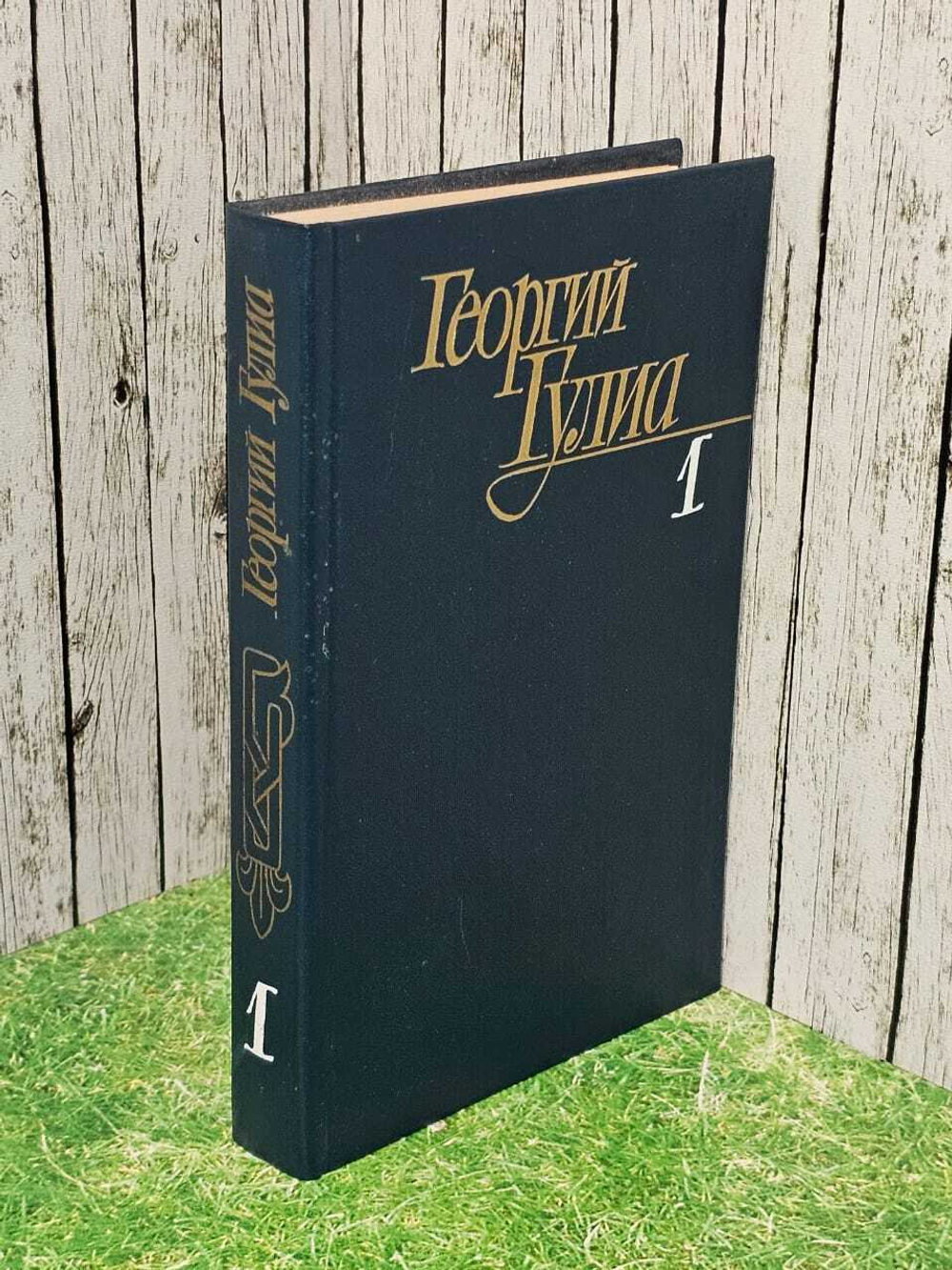 Георгий Гулиа. Собрание сочинений в четырех томах. Том 1
