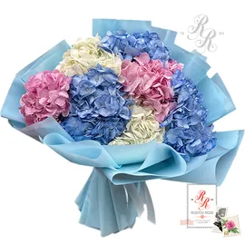 Гортензия микс