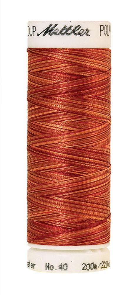 Нить вышивальная Mettler Poly Sheen Multi 40 (200 м), 5 кат. | цв. 9934