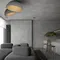 Потолочный светильник Egg 10197/350 Grey Loft It
