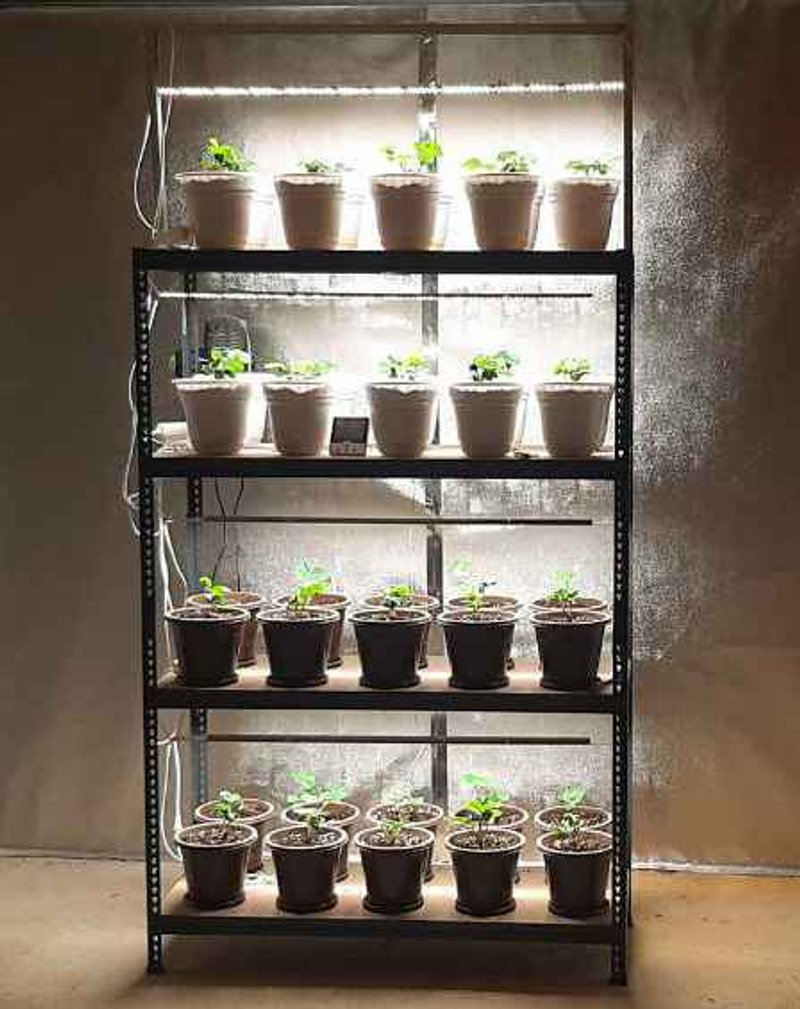 Комплект LED Quantum line 60 см, 25W