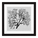 ПостерPrints Shadow Sea Fans set of 4 арт.112752