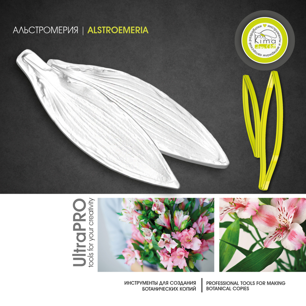 Альстромерия лист