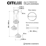 Citilux Дуэт CL719031 LED Подвесной светильник Чёрный