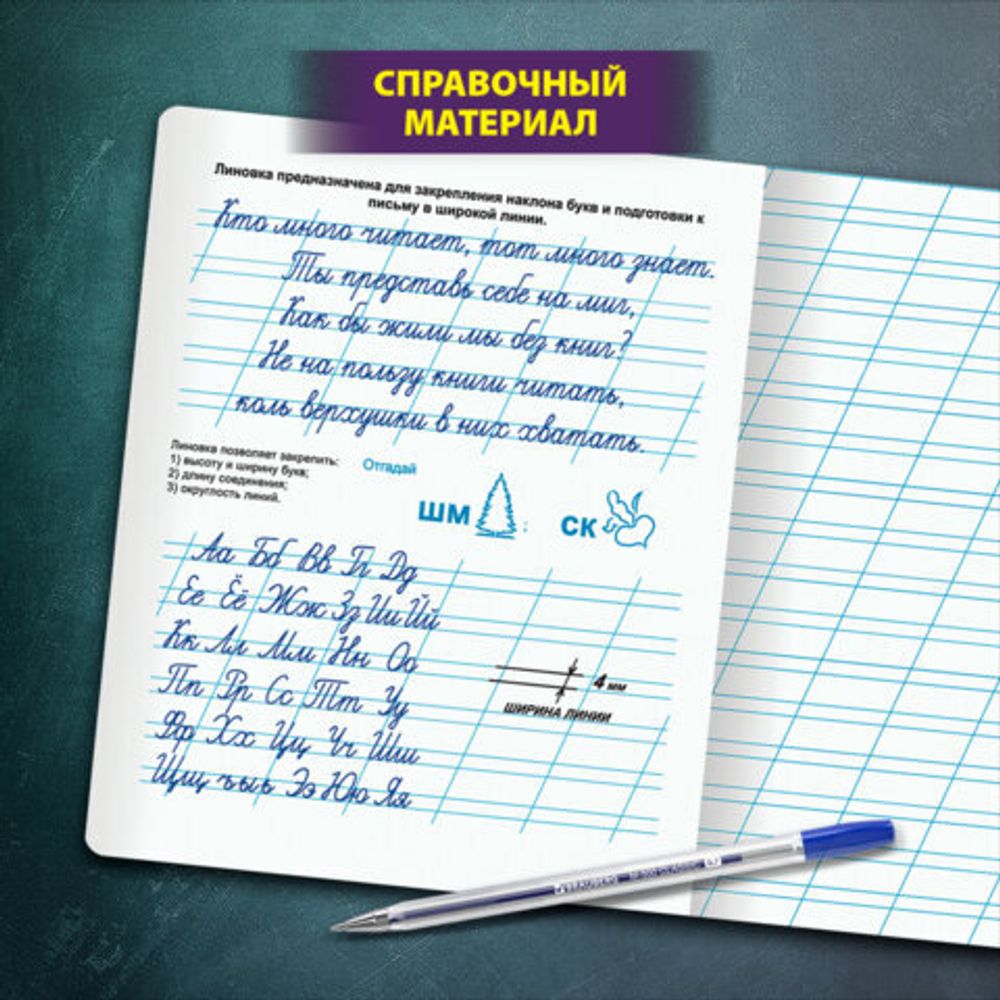Тетрадь УЧУСЬ ПИСАТЬ № 4 12 л. косая линия, со справочным материалом, обложка картон, ЮНЛАНДИЯ, 404851, 20шт