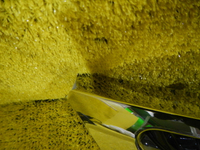 DSCN4486.JPG