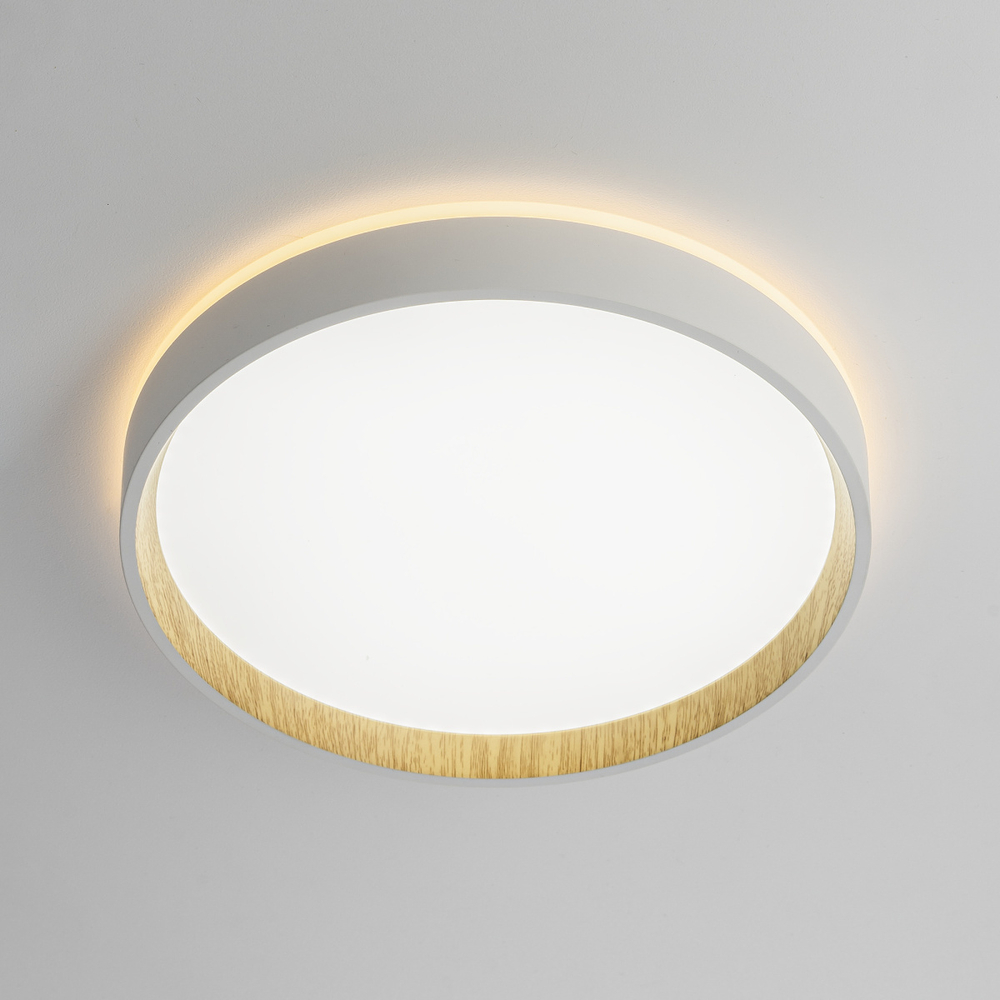 Потолочный светодиодный светильник Citilux ETALON CL750240
