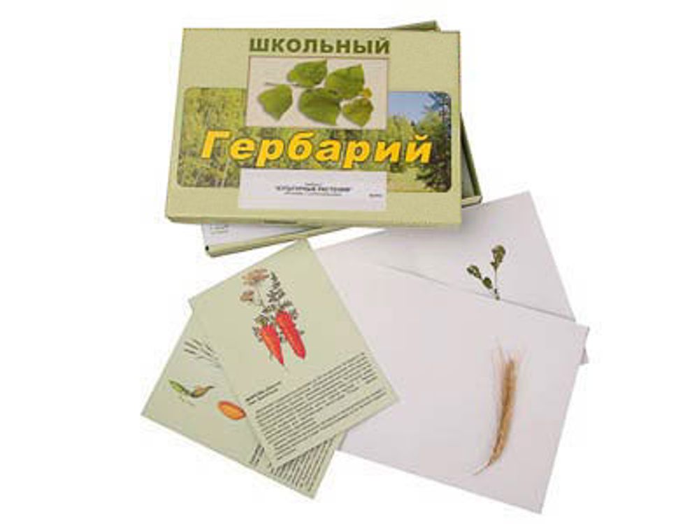 Гербарий "Культурные растения" (30 видов, с иллюстрациями)
