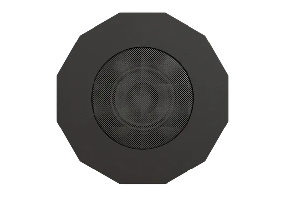 CVGAUDIO SUBone model D-6BL/CR подвесной пассивный сабвуфер