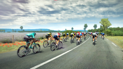 The Cycling Bundle 2021 (для ПК, цифровой код доступа)