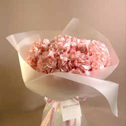 Пять розовых гортензий Pink Cloud