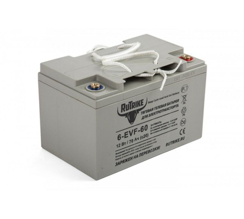Аккумулятор для тележек JFD8 12 В/100 Ач гелевый (Gel battery)
