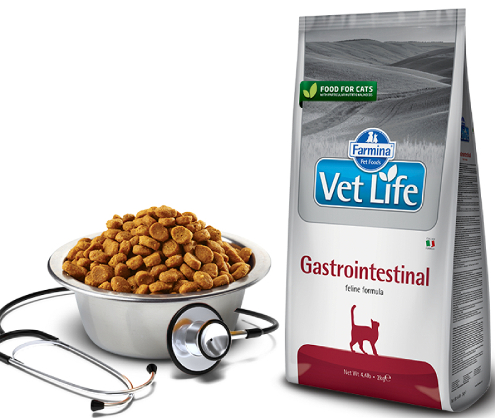 Сухой корм FARMINA Vet Life GastroIntestinal Feline для взрослых кошек при нарушениях пищеварения - 2 кг
