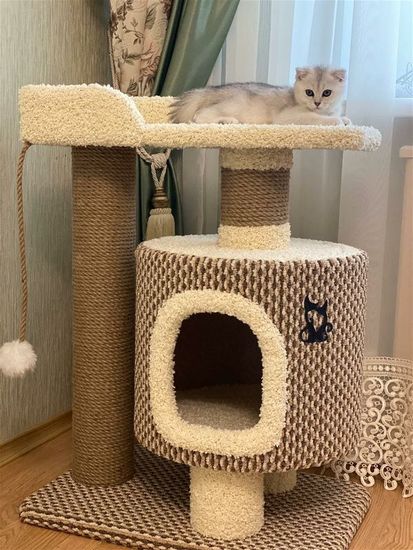 Домик для кота Д-6
