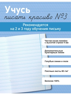 Набор тетрадей "Учусь писать красиво!", 12 л, 10 шт (плёнка)